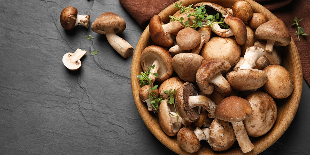 Shiitake Mushrooms -Fresh or Dried? - CHOPSTICK THERAPY